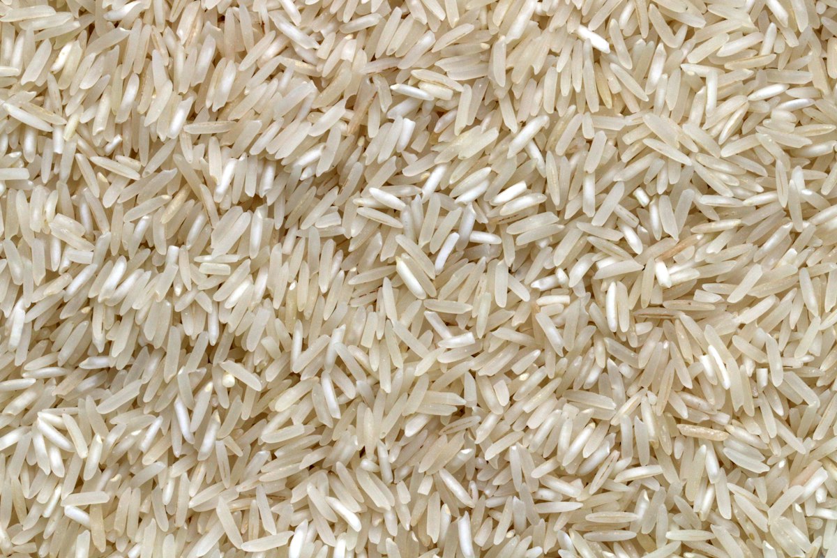 Rice grains