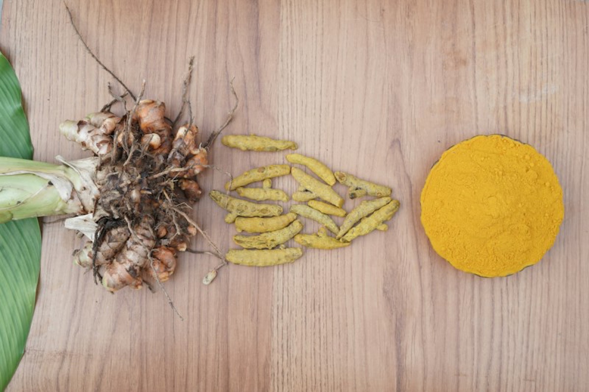 Dried turmeric fingers with fresh turmeric plant and turmeric powder